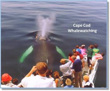 Students on Whale Watching Trip